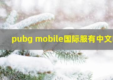 pubg mobile国际服有中文吗